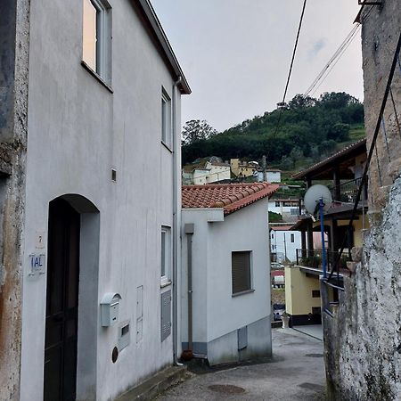 Casa Vale Do Rio Vila Penacova Exterior foto